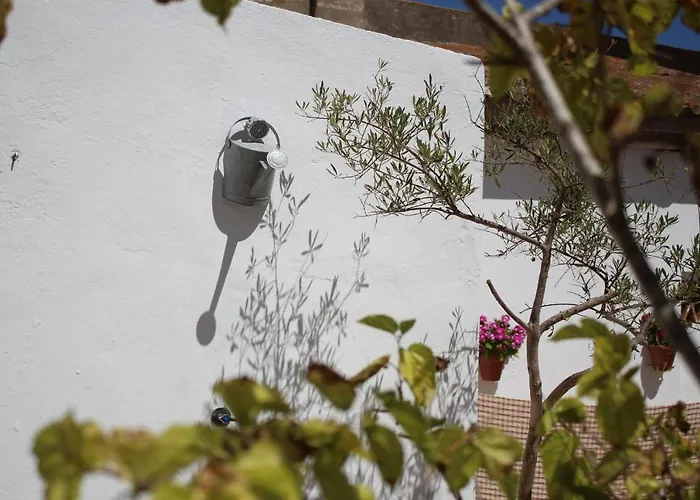 Hotel cerca del colegio: Casa Leonor Vejer